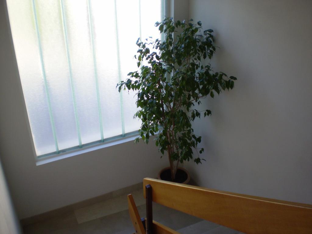 מאקרסקה Apartment Jurasovic מראה חיצוני תמונה